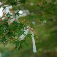 オーナーの夢 いつか自分の時間をたっぷり持てるようになったら、芭蕉の「おくの細道」をたどってみたいと思っております。 それもスポーツバイクではいささか面白味に欠けますので、(通称)ママチャリで。 いえ、しんどい峠は押して登れば、それは...