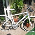 GIANT ESCAPE R3 アレンジ続編 先日ご紹介しました、A氏のGIANT ESCAPE R3。 マスターのせがれ(筆者)の幼馴染でもあり、よくご来店頂いております。 まだお買い上げいただいてから、1ヶ月ほどですが、自転車はかなりアレンジが進み、ノーマル時に...